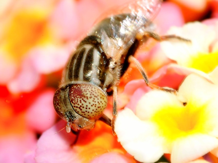 Immagini di archivio